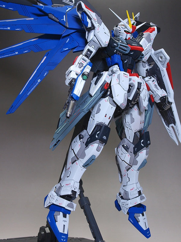 MG - 1/100 - FREEDOM GUNDAM VER.2.0