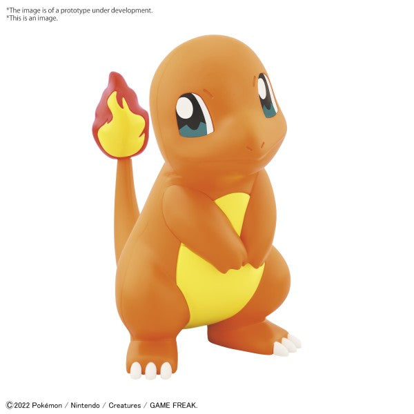 POKEMON - MODEL KIT QUICK!! 11 - CHARMANDER