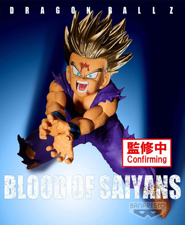 DRAGON BALL Z - BLOOD OF SAIYANS - SPECIAL XI